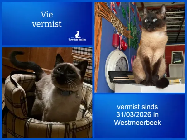 Vie