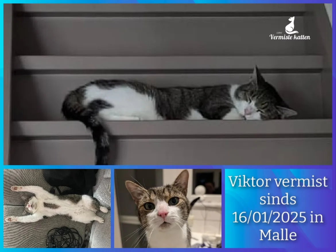 Viktor