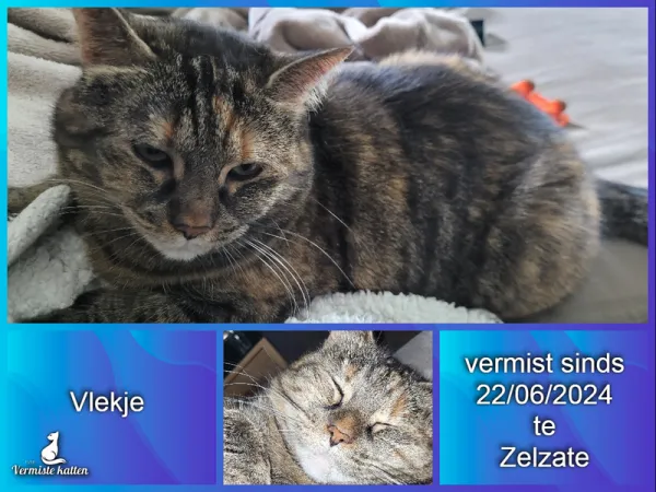 Vlekje