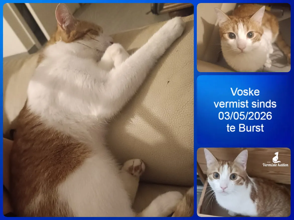 Voske