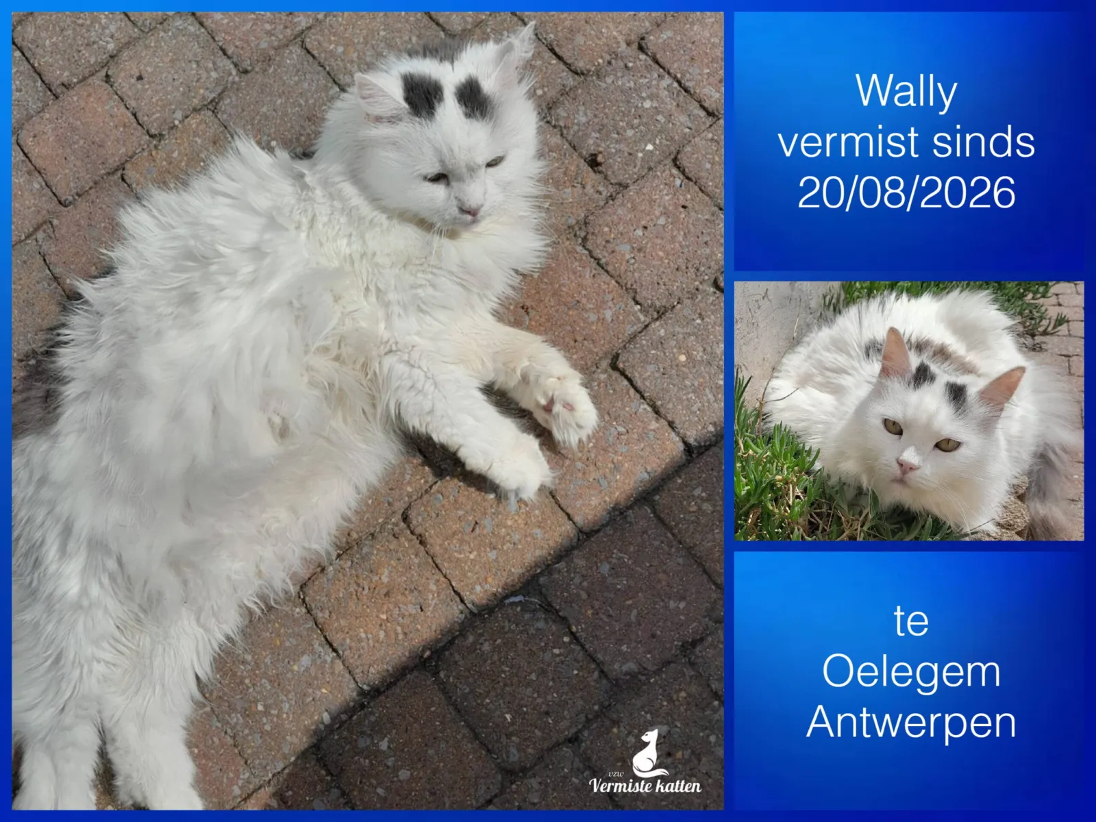 Wally