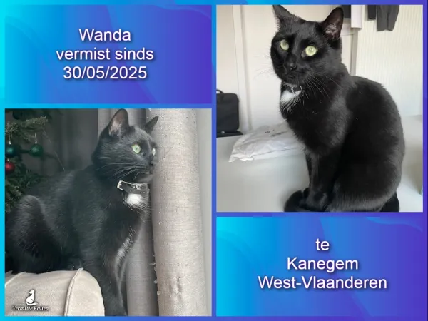 Wanda