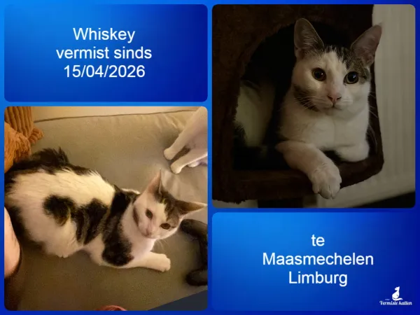 Whiskey