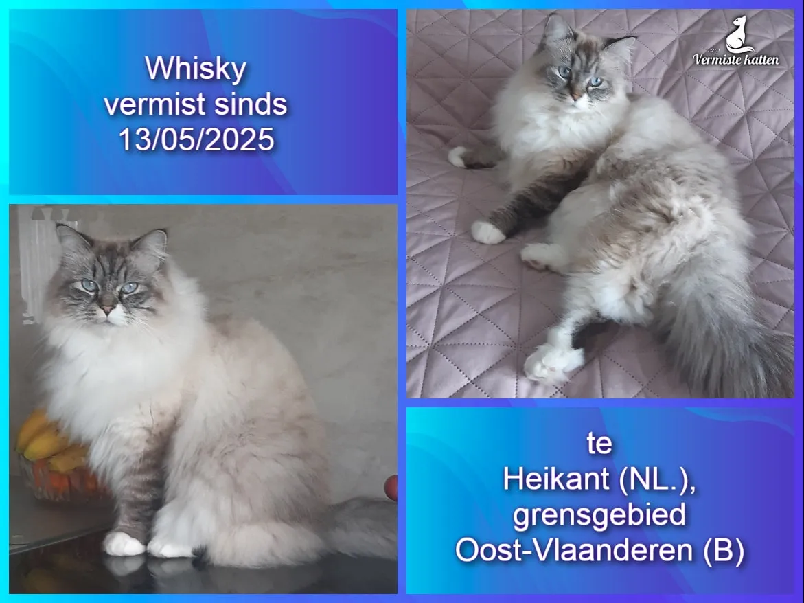 Whisky