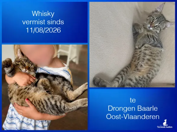 Whisky
