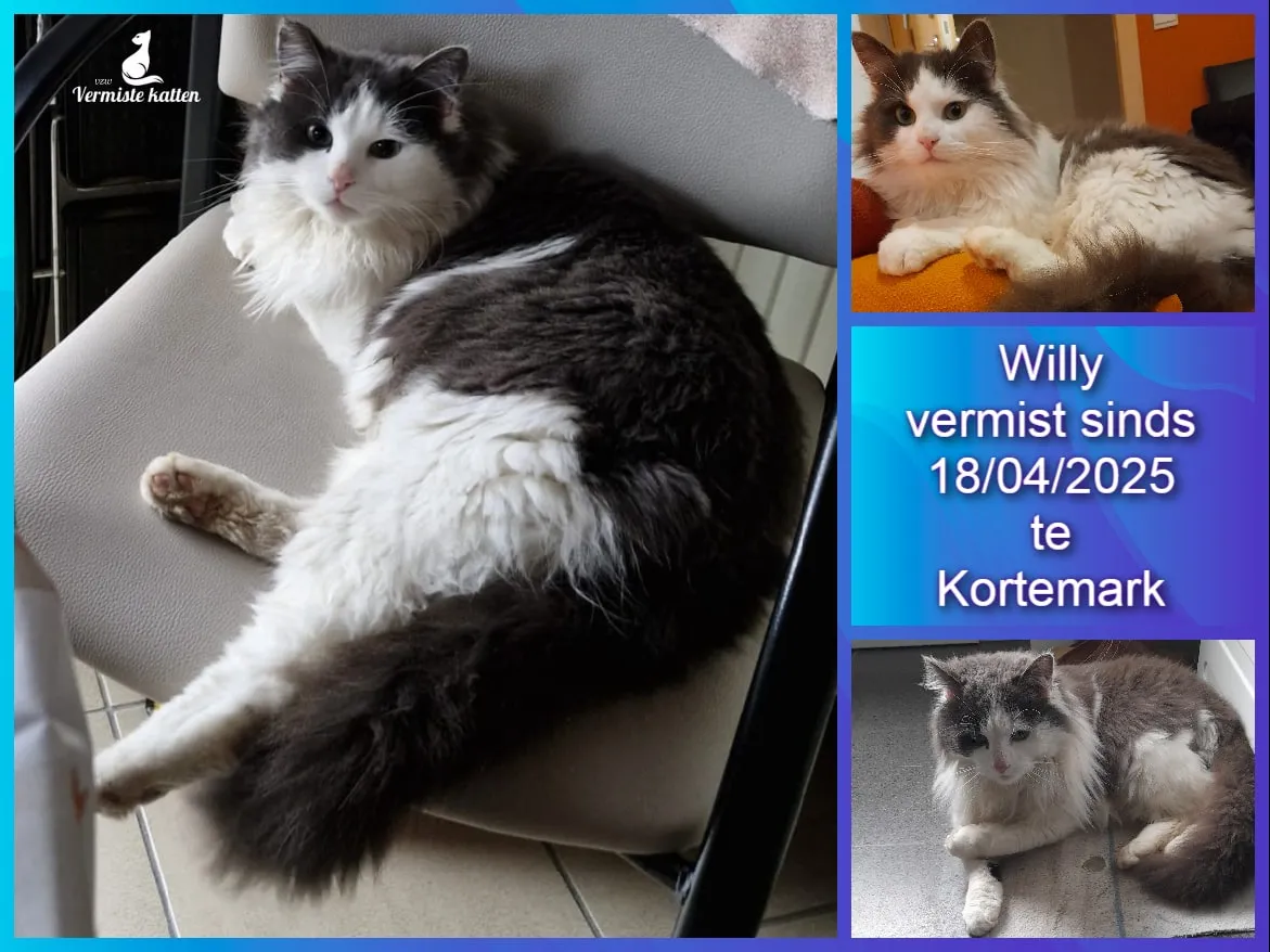 Willy