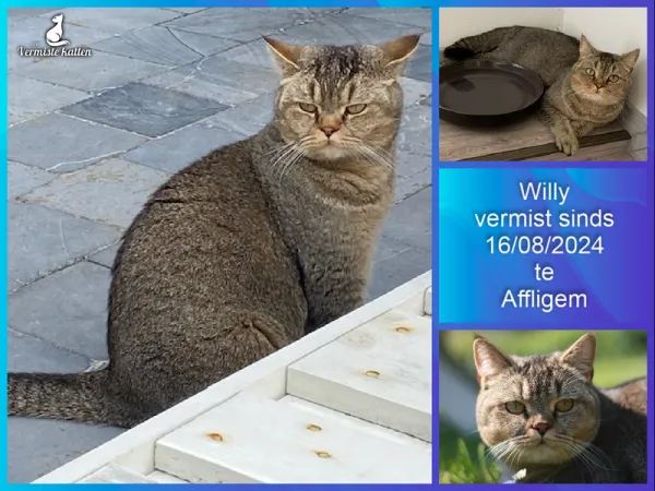 Willy