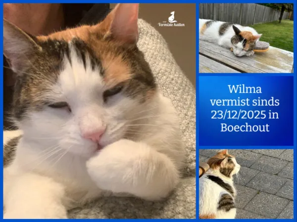Wilma