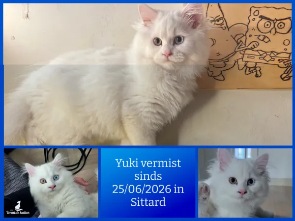 Yuki