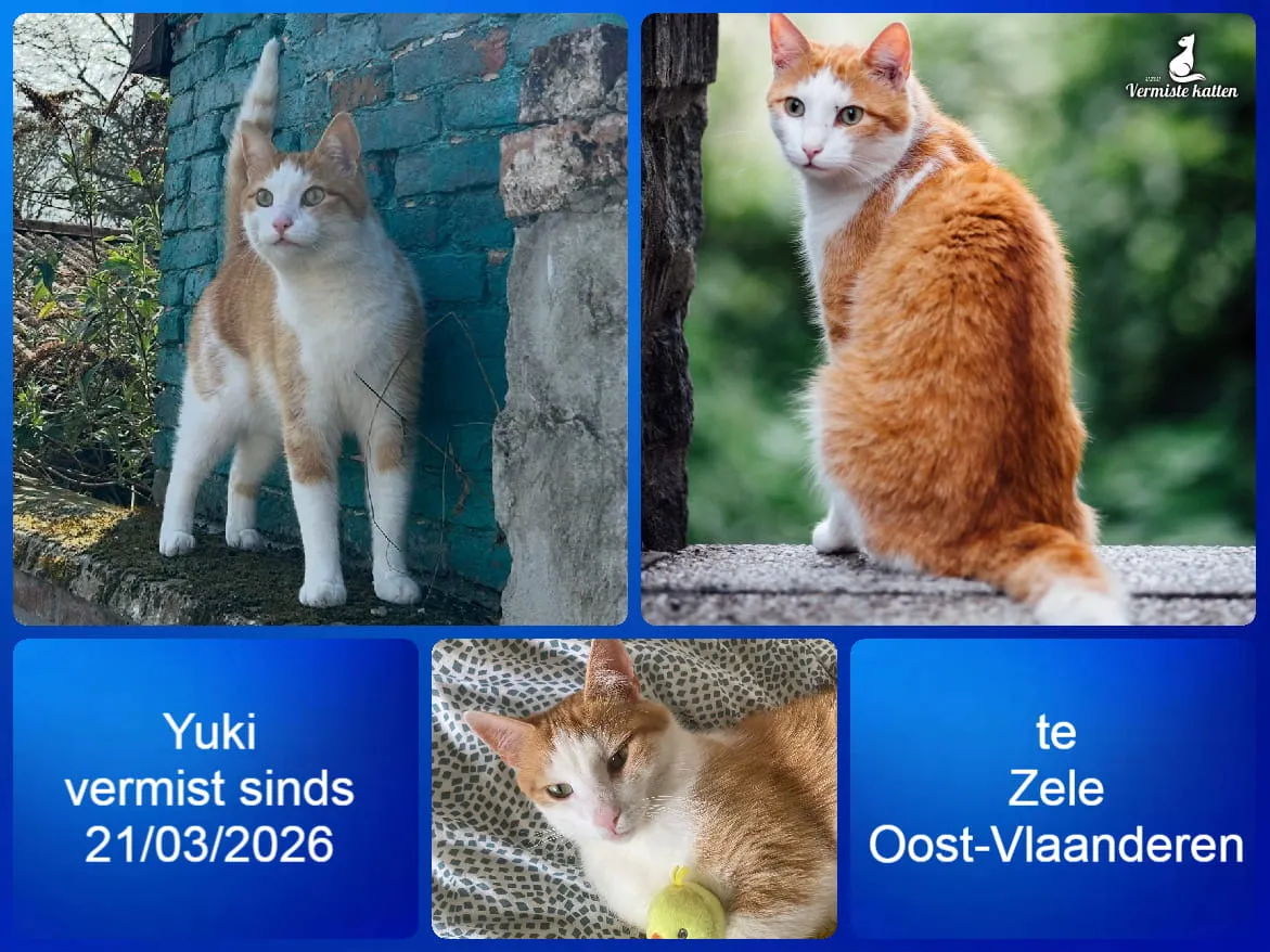 Yuki