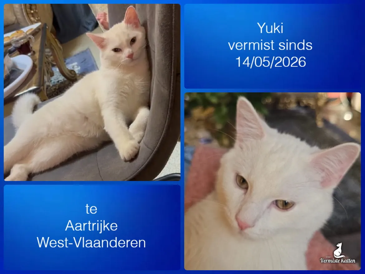 yuki