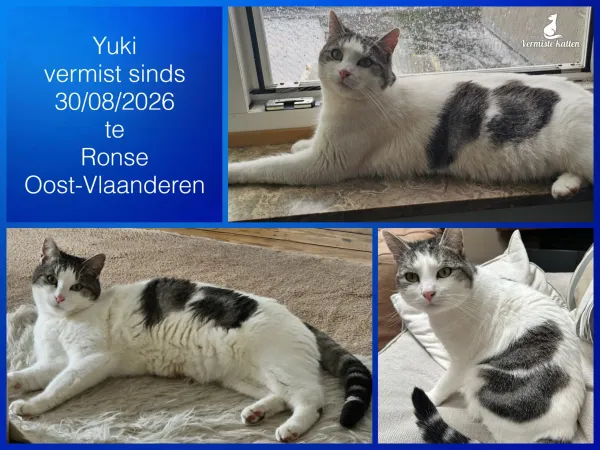 Yuki