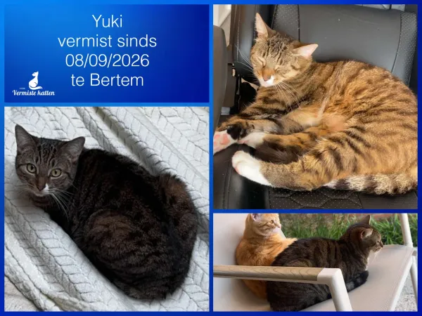 Yuki