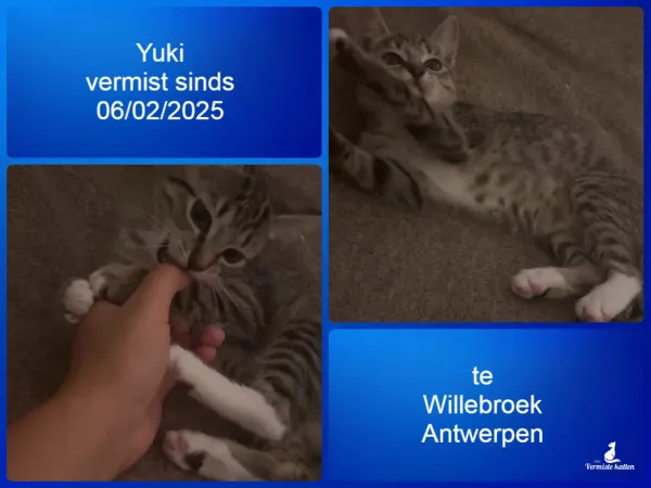 YUKI