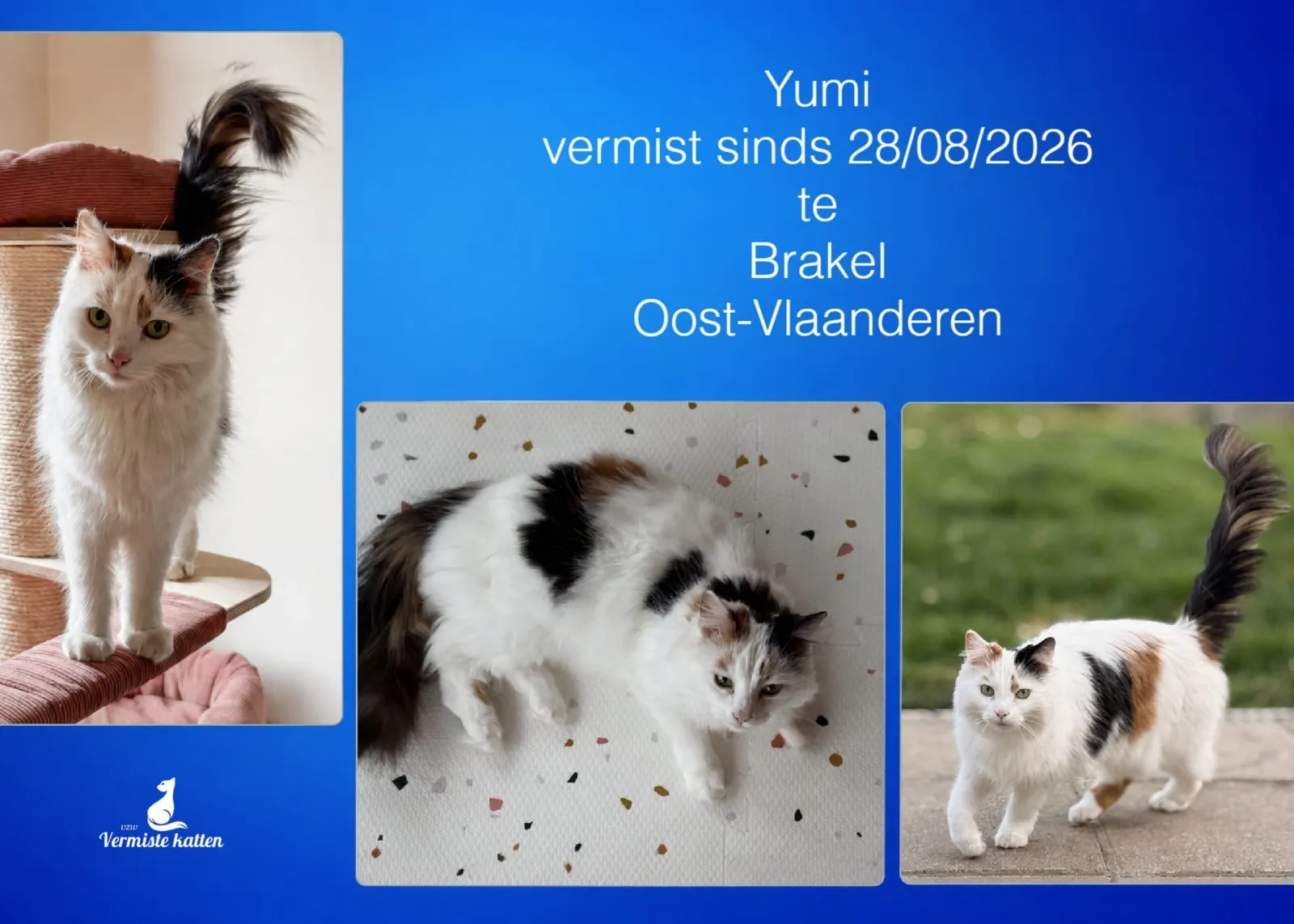 Yumi