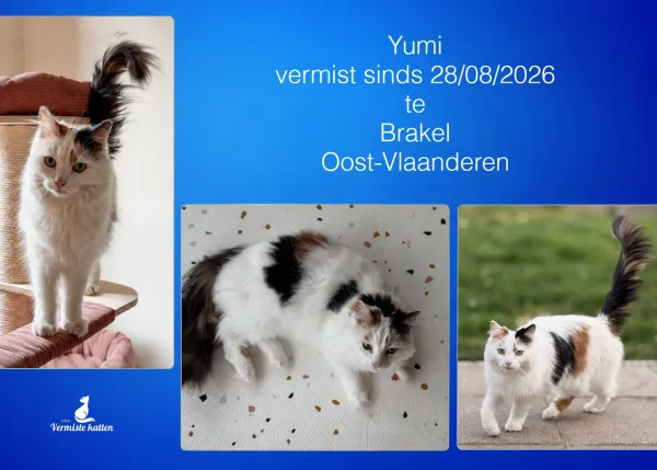 Yumi