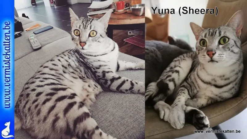 Yuna (Sheera in het paspoort)