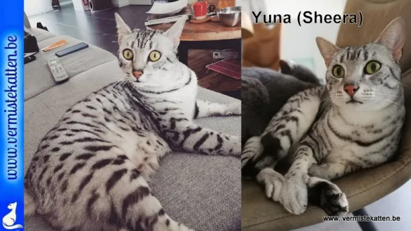Yuna (Sheera in het paspoort)