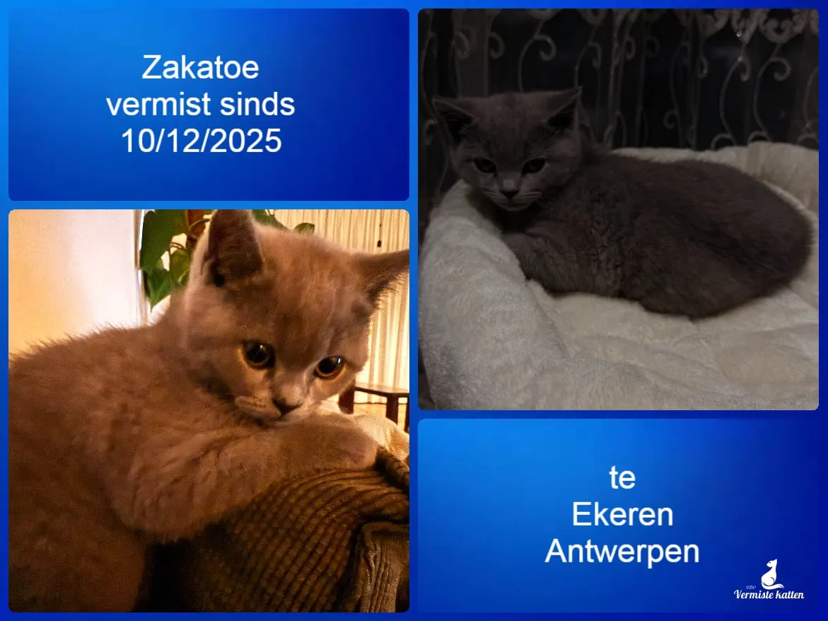 Zakatoe