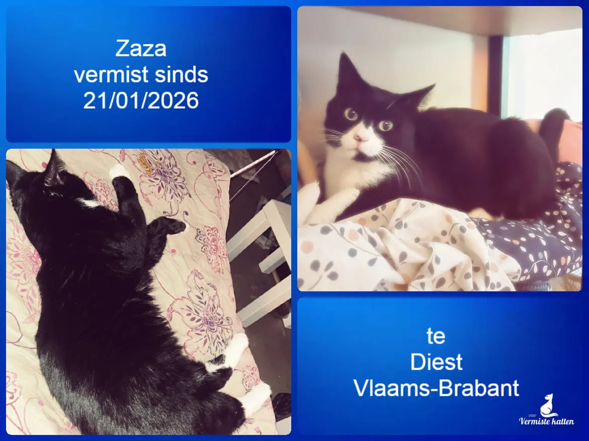Zaza