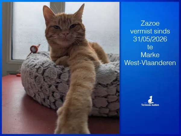 Zazoe