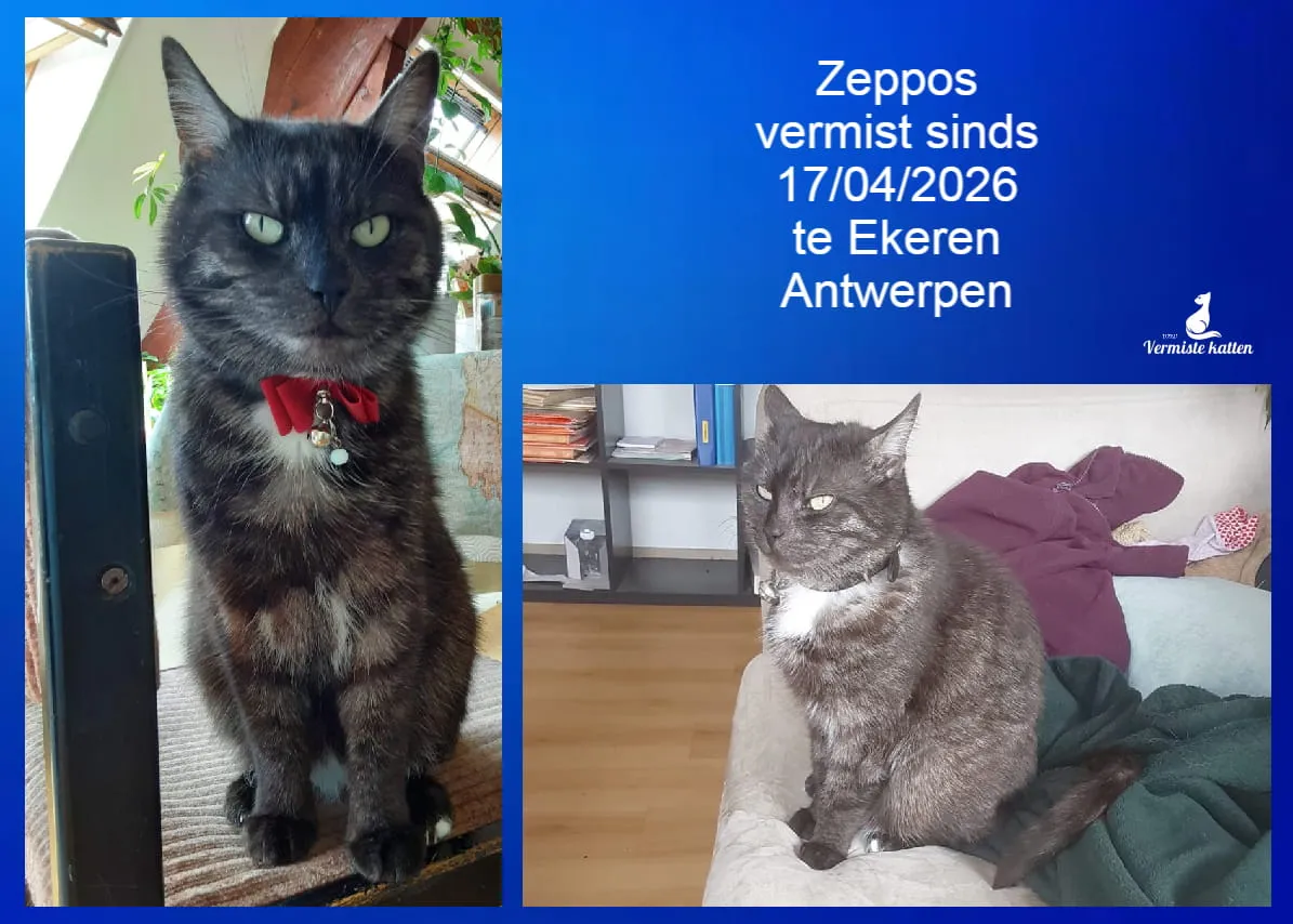 ZEPPOS