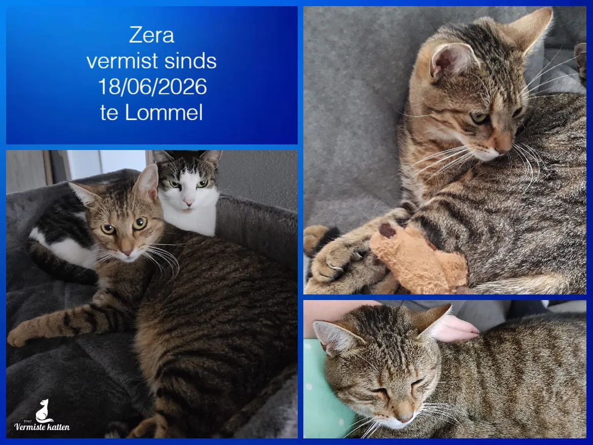 Zera
