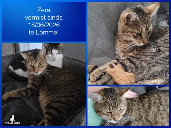 Zera