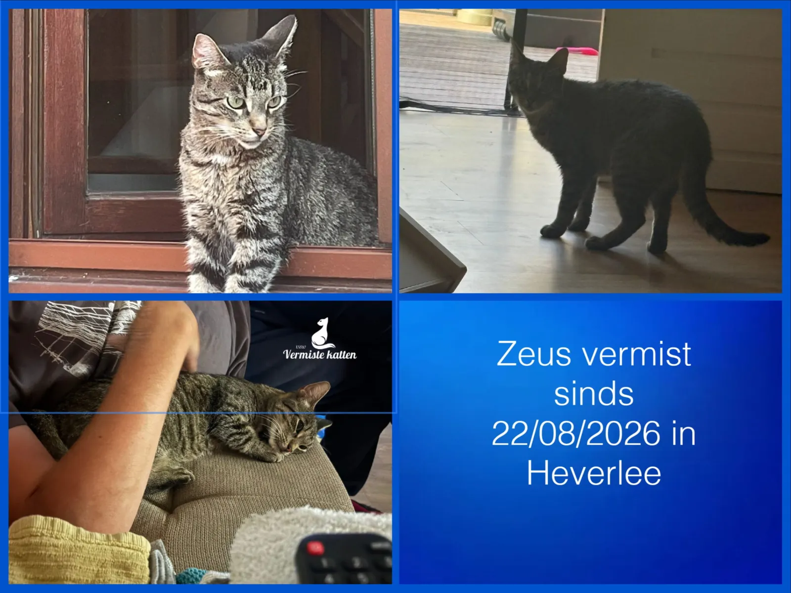 Zeus