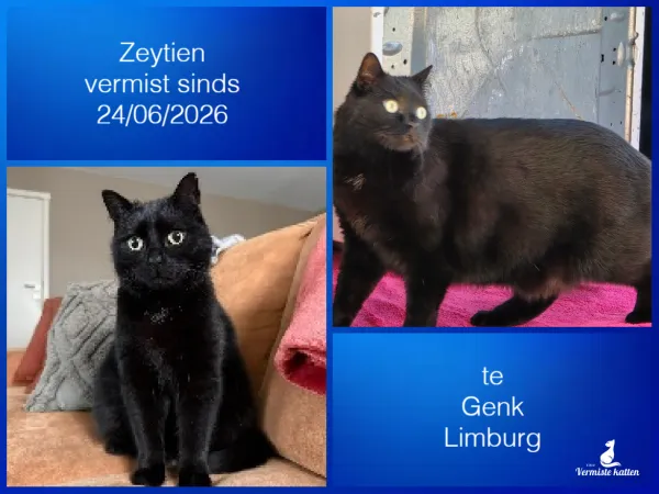 Zeytien