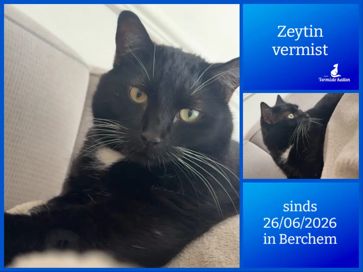 Zeytin