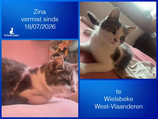 Zina
