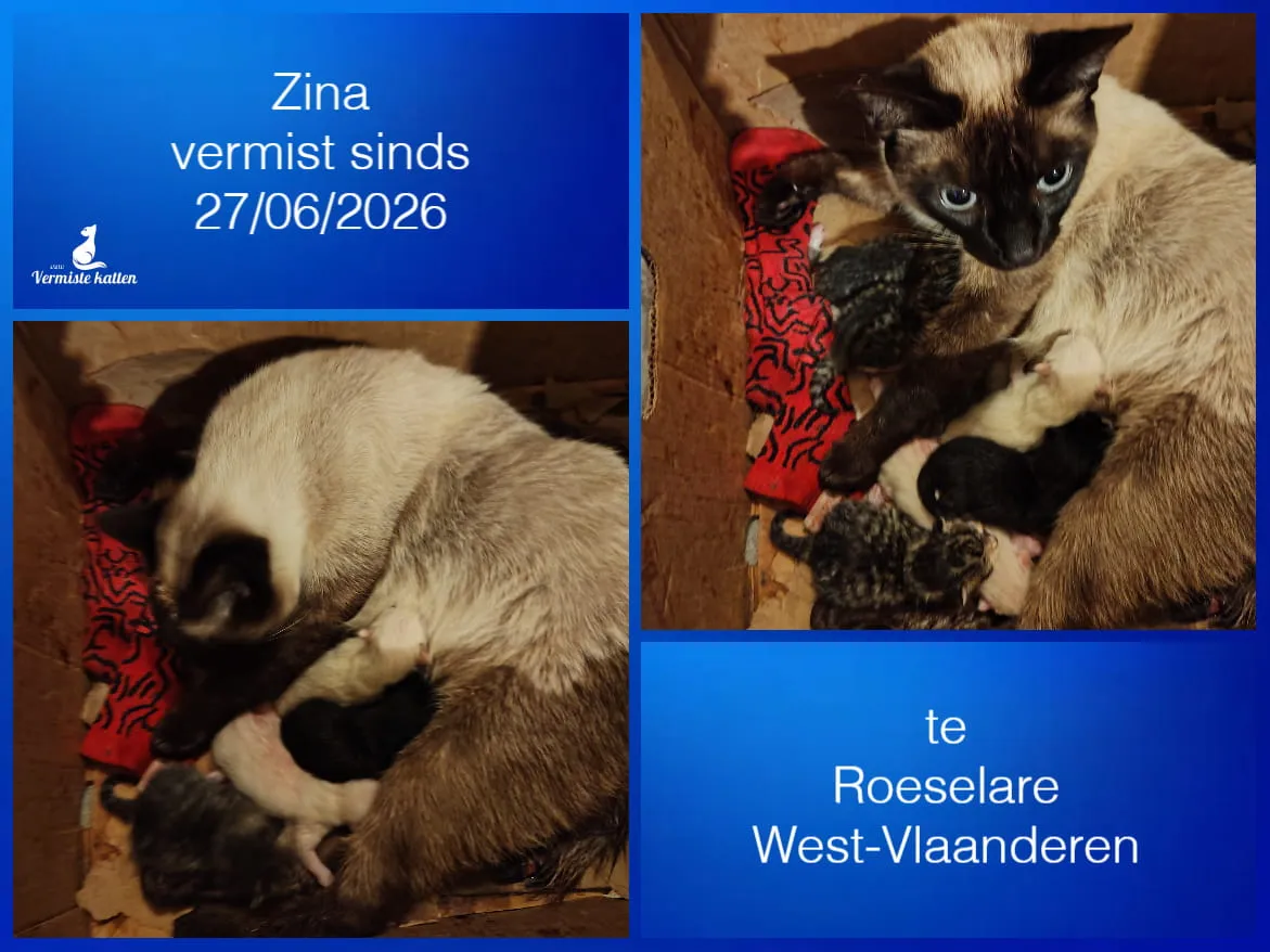 Zina
