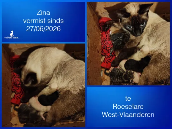 Zina
