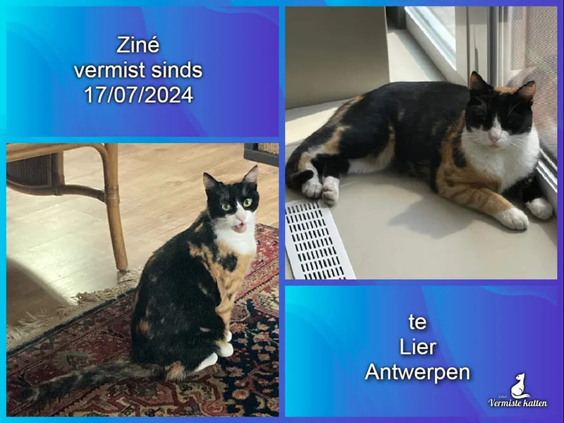 Ziné