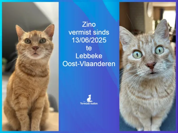 Zino