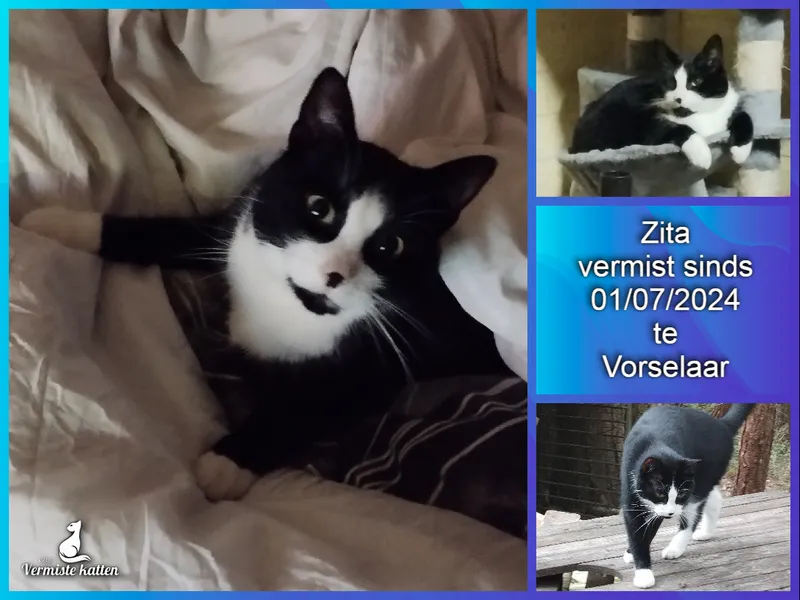 Zita