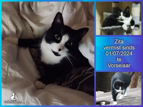 Zita