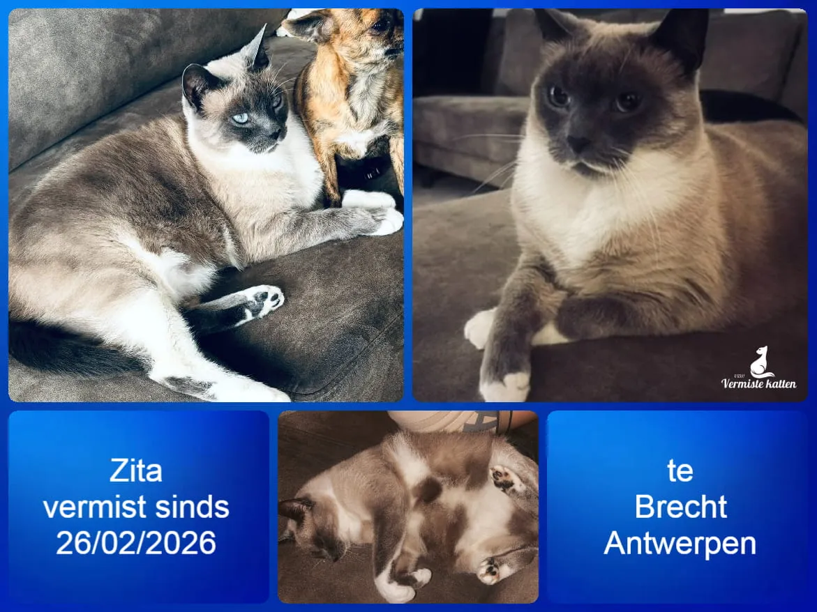Zita