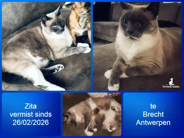 Zita