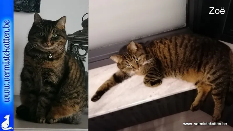 Zoë