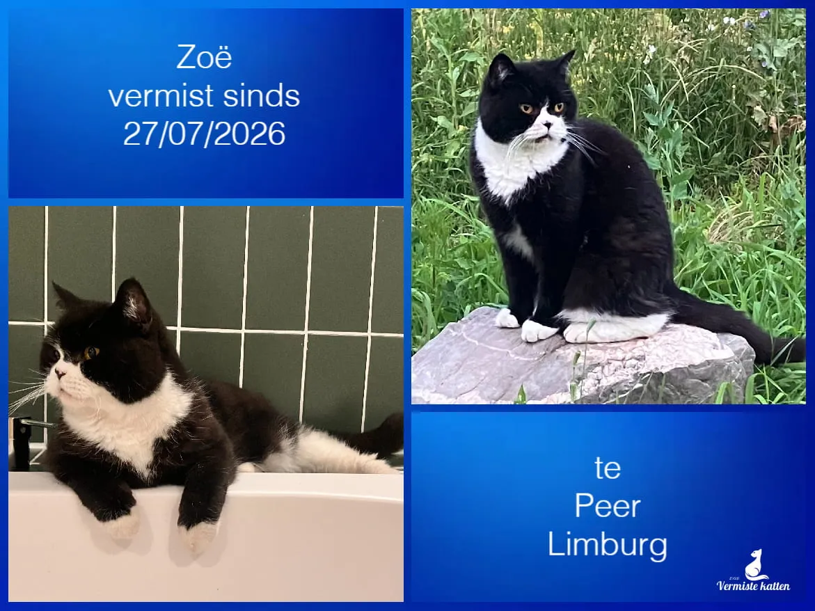 Zoë