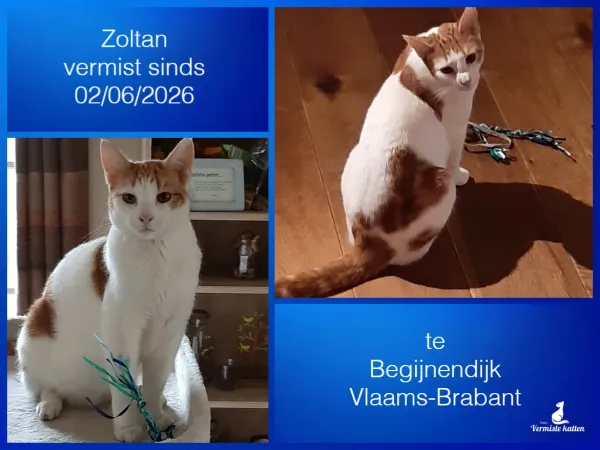 Zoltan