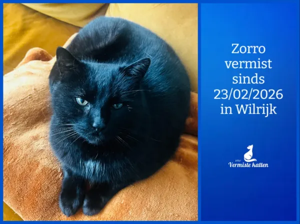 Zorro