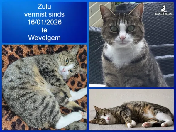 Zulu