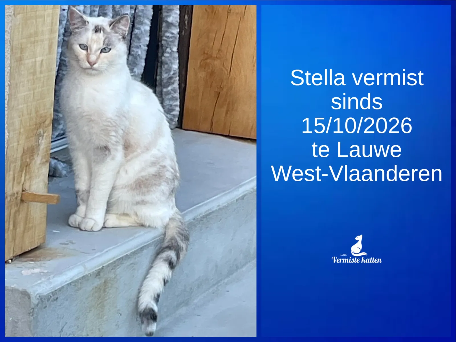 Stella