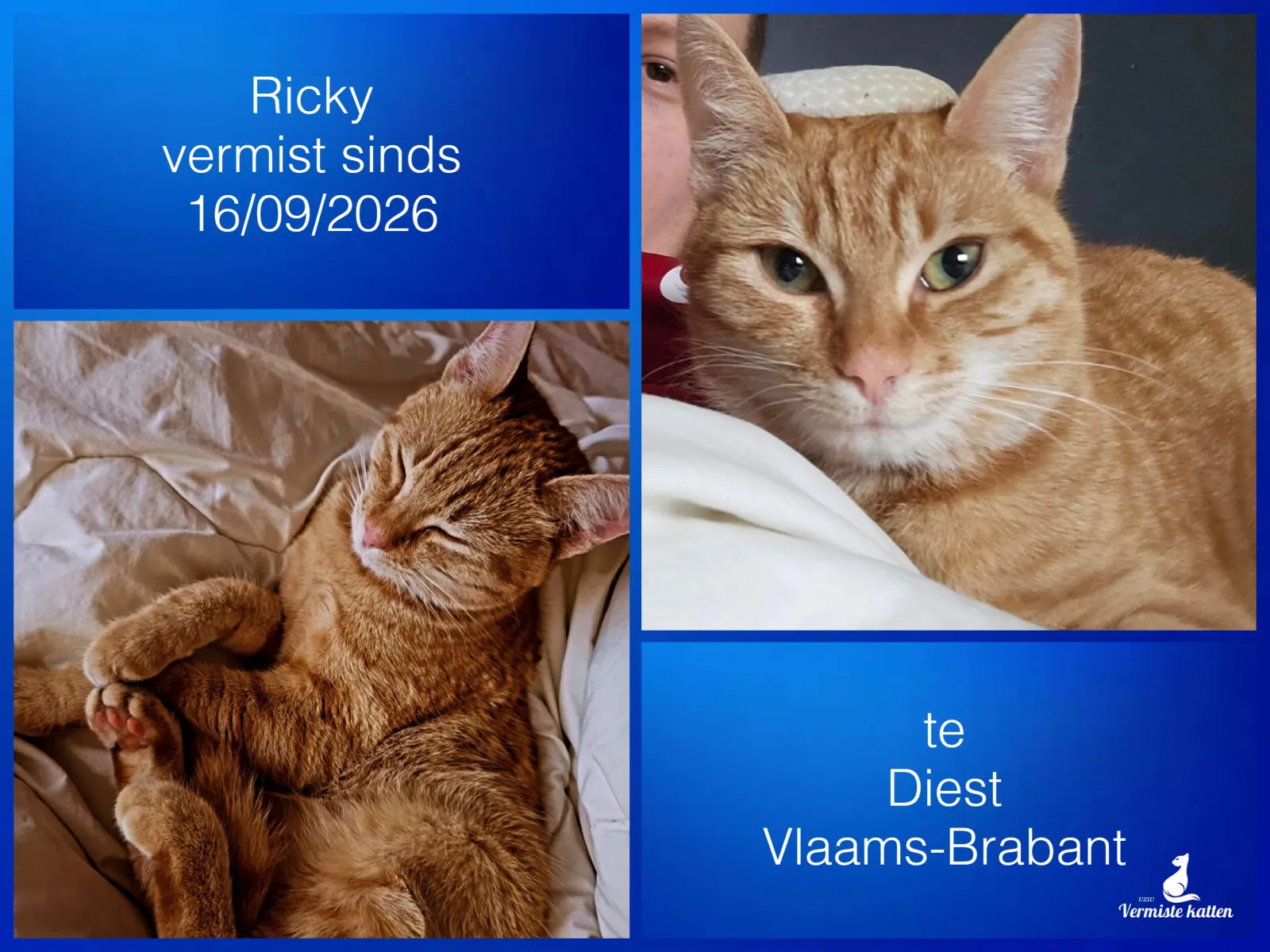 Ricky