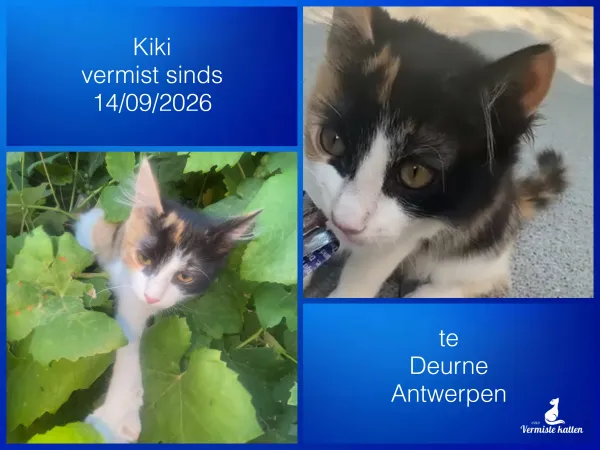 Kiki
