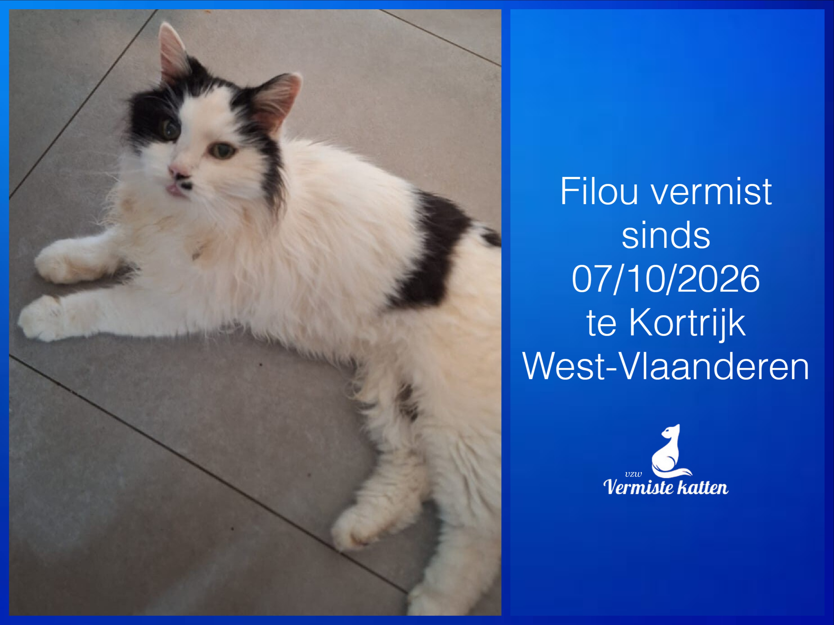 Filou