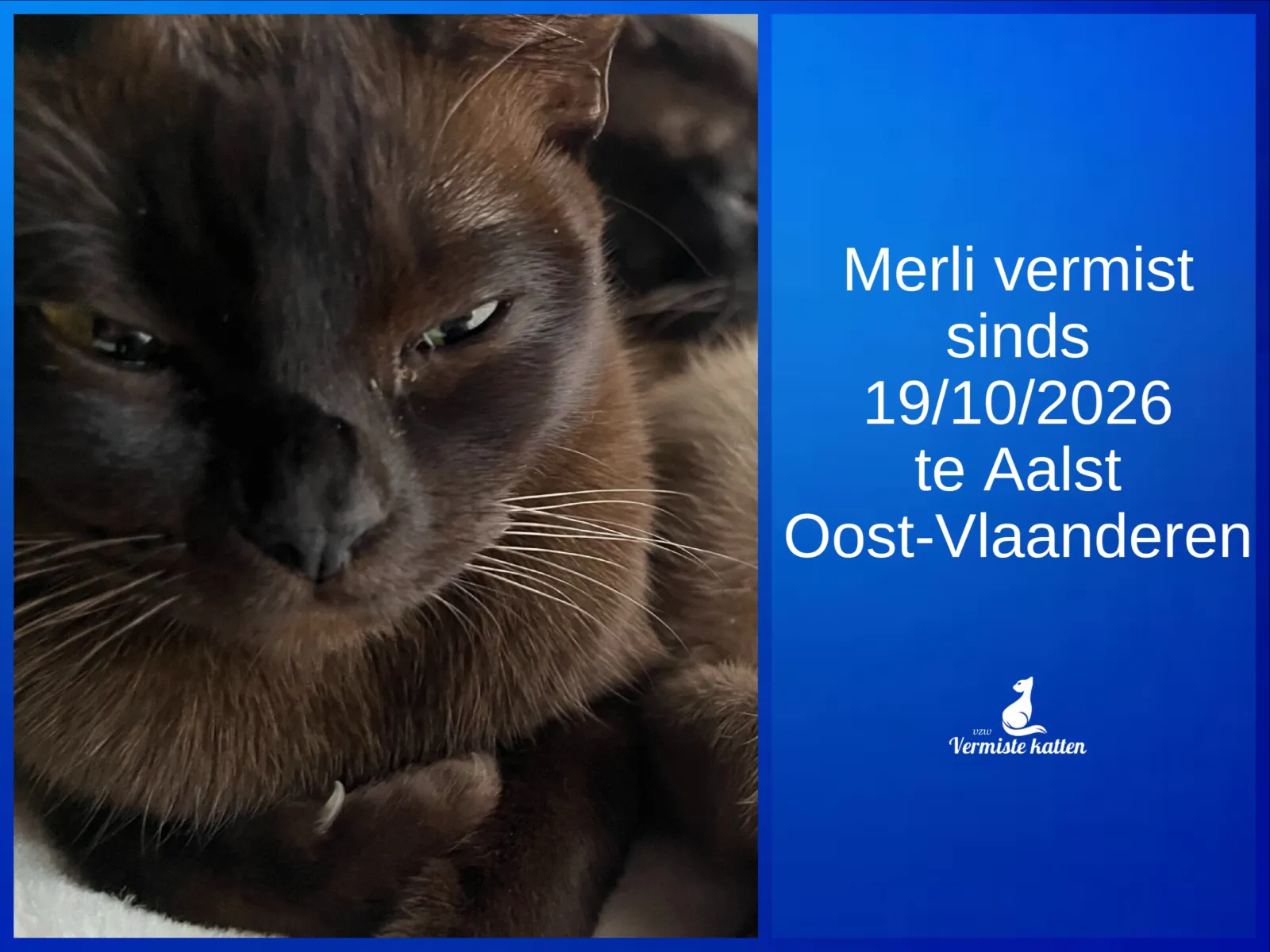 Merli